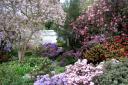 Marking 100 Years of One of Scotland’s Most Remarkable Gardens