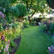 Late sun catches a meandering grass path and mixed borders.